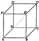 hình lập phương ABCD.A'B'C'D'