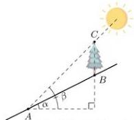 Hình vẽ cây thẳng đứng BC trên sườn đồi AB với góc nghiêng sườn đồi α và góc nghiêng tia nắng β