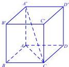 Hình hộp chữ nhật $ABCD.A'B'C'D'$
