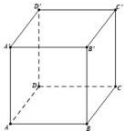 Hình lập phương $ABCD.A'B'C'D'$