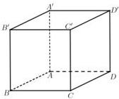 hình lập phương ABCD.A'B'C'D'