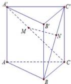 hình ảnh khối lăng trụ tam giác đều ABC.A'B'C' với cây cầu MN