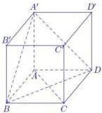 Hình lập phương ABCD.A'B'C'D' với mặt phẳng A'BD