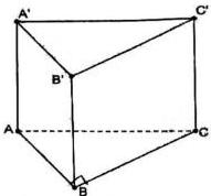 Hình lăng trụ $ABC.A'B'C'$