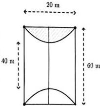 hình vẽ mảnh đất hình chữ nhật 20 m x 60 m với hai miền trồng hoa giới hạn bởi parabol