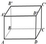 Hình lập phương ABCD.A'B'C'D' (hình vẽ)