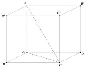 Hình vẽ khối lăng trụ đứng ABCD.A'B'C'D'