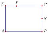 hình chữ nhật $ABCD$ với các điểm $P$ trên cạnh $CD$ và $N$ trên cạnh $BC$