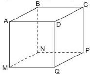Hình lập phương ABCD.MNPQ