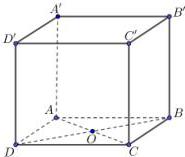 Hình hộp chữ nhật $ABCD.A'B'C'D$