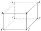 Hình lập phương ABCD.A'B'C'D'