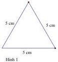 Hình 1 là tam giác có ba cạnh đều bằng 5 cm