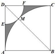 Hình vuông ABCD với cung tròn (B; BA) cắt BD tại M và cung tròn (D; DM) cắt DA, DC tại E, F, phần tô đậm ngoài hai cung tròn