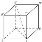 Hình hộp chữ nhật ABCD.A'B'C'D'