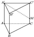 Hình lăng trụ đứng ABC.A'B'C' với điểm M trên cạnh CC'