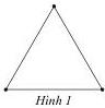 Hình 1
