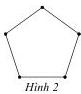 Hình 2