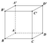 Hình lập phương $ABCD.A'B'C'D'$