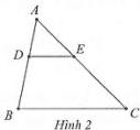 Hình 2