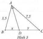 Hình 3
