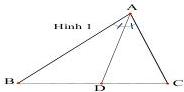 Hình 1