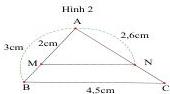 Hình 2