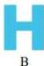 Hình B
