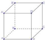 Hình lập phương $ABCD.A'B'C'D'$