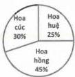 Biểu đồ hình quạt thể hiện diện tích đất trồng hoa cúc 30%, hoa huệ 25% và hoa hồng 45%