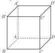 Hình lập phương ABCD.A'B'C'D'
