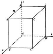 Hình hộp chữ nhật $ABCD.A'B'C'D'$ với hệ trục tọa độ $Oxyz$ và điểm $M$ là trung điểm của $AB$