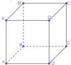 Hình lập phương ABCD.A'B'C'D'