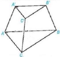Hình chóp cụt đều ABC.A'B'C'