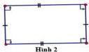 Hình 2