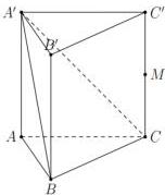 Hình vẽ lăng trụ đứng $ABC.A'B'C'$ có đáy là tam giác đều và $M$ là trung điểm của $CC'$