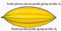 Mặt cắt dọc quả khế với parabol giới hạn cánh qua các điểm $A_n$ và parabol qua rãnh qua các điểm $B_n$