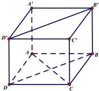 Hình hộp ABCD.A'B'C'D'