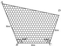 Tứ giác ABCD với AB = 6m, CD = 4m, BC = 4m, góc B bằng $100^0$, góc C bằng $130^0$