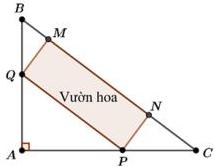 Vườn hoa hình chữ nhật MNPQ trong tam giác ABC vuông tại A