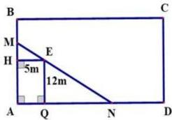 hình chữ nhật ABCD với lưới MN đi qua cọc E, EH = 5m, EQ = 12m