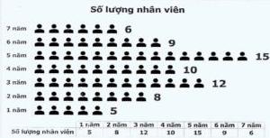 Biểu đồ thống kê số lượng nhân viên theo số năm kinh nghiệm làm việc