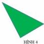 Hình 4 - tam giác thường