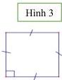 Hình 3 - hình vuông