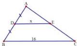 hình tam giác ABC với DE song song BC, DE = x, BC = 16, AD = DB