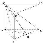 Hình lăng trụ tam giác đều ABC.A'B'C' có M là trung điểm cạnh BC