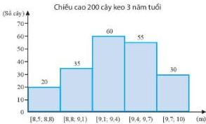 Biểu đồ chiều cao 200 cây keo 3 năm tuổi