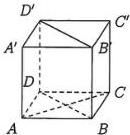 hình lập phương ABCD.A'B'C'D'