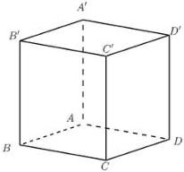 Hình hộp chữ nhật $ABCD.A'B'C'D'$