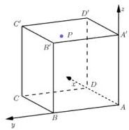 Hình hộp chữ nhật ABCD.A'B'C'D' với điểm P trên trần cabin và hệ trục tọa độ Oxyz